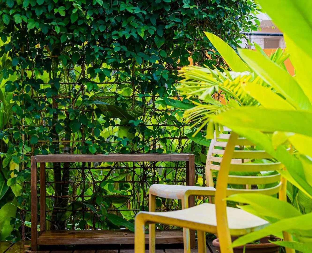 Mini-hôtel Casa De Amistad Guesthouse Vieques