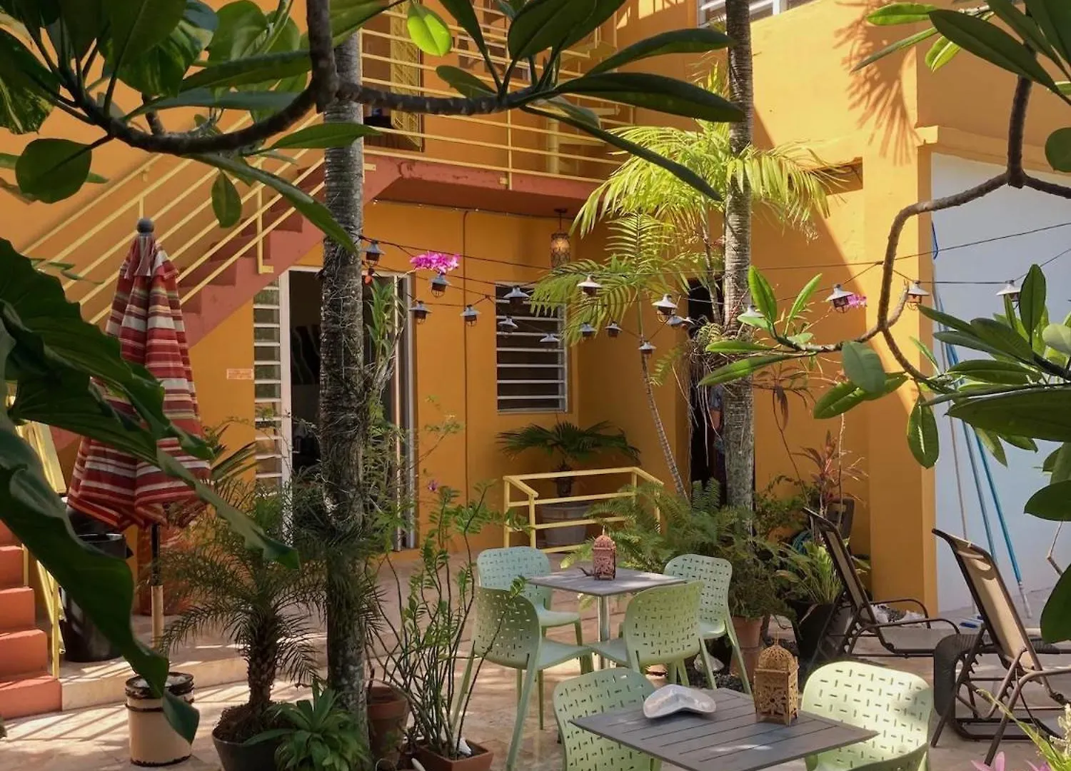 Mini-hôtel Casa De Amistad Guesthouse Vieques