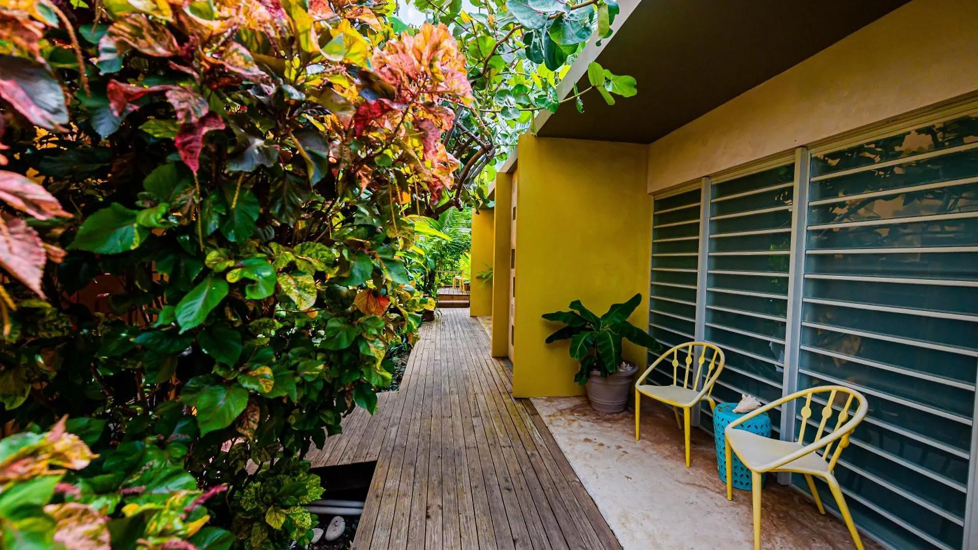 Casa De Amistad Guesthouse Vieques